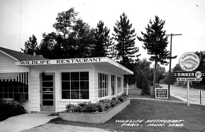 Wildlife Restaurant - Vintage Postcard (newer photo)